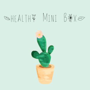 Healthy mini box
